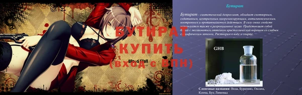 крисы Корсаков