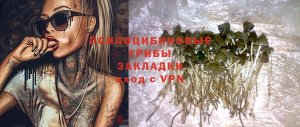 крисы Корсаков