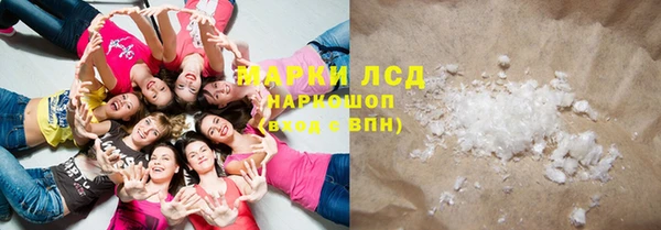 крисы Корсаков